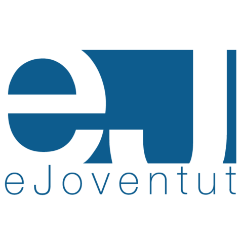 Junior-Entreprise : Notre Structure - ESCadrille Toulouse Junior Conseil