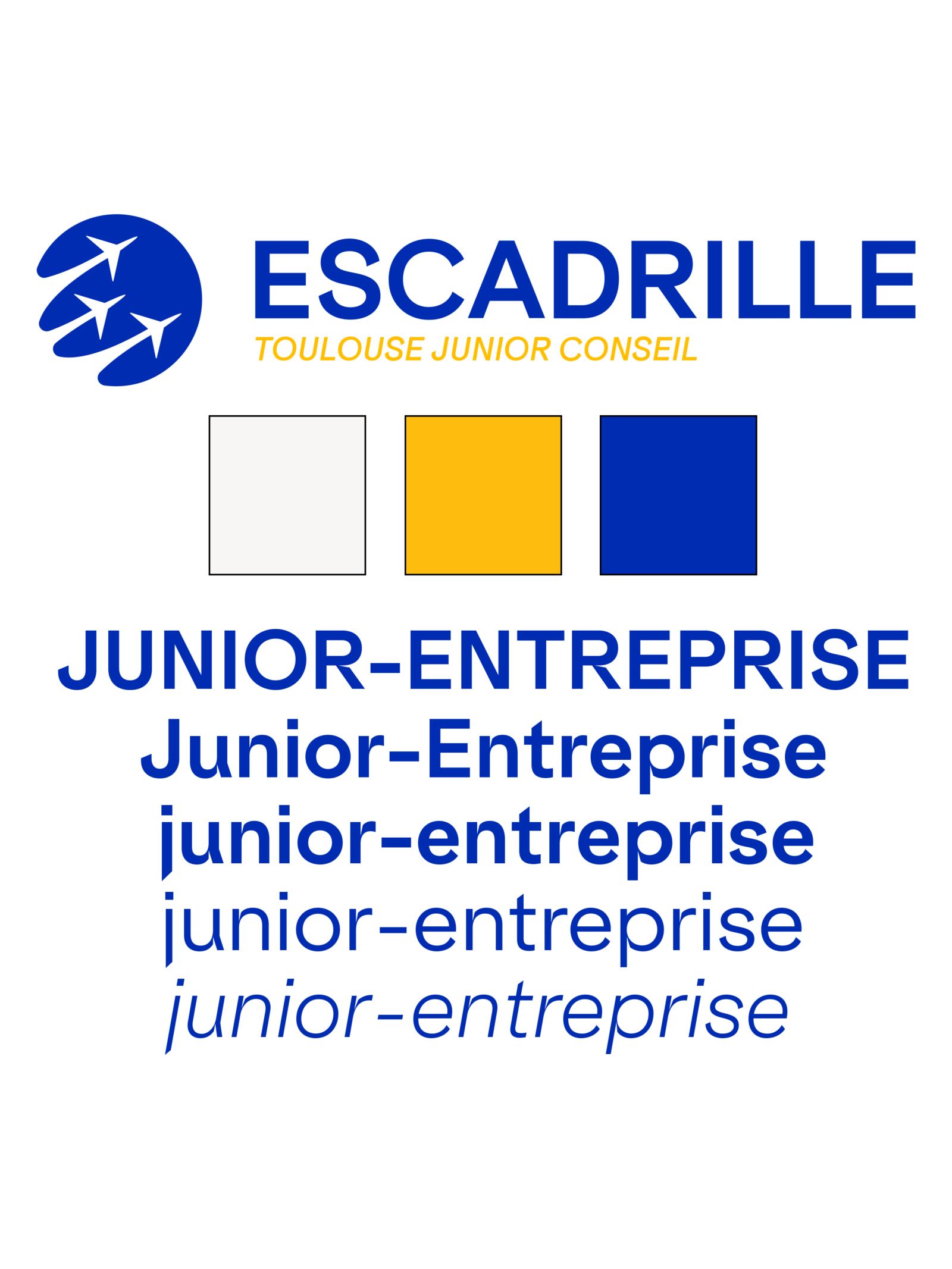 Junior-Entreprise : Notre Structure - ESCadrille Toulouse Junior Conseil
